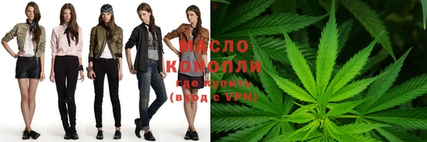 МДПВ Каменногорск