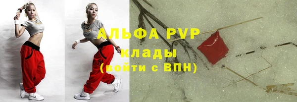 МДПВ Каменногорск