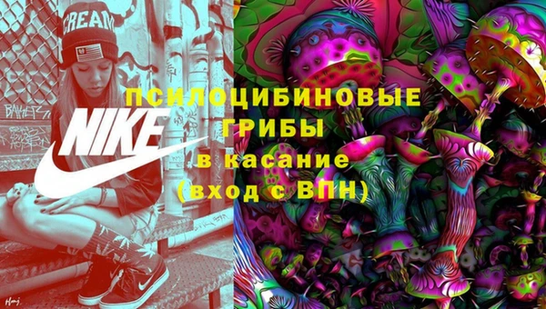стафф Каменск-Шахтинский