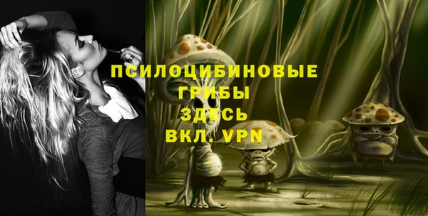 марки nbome Каменка