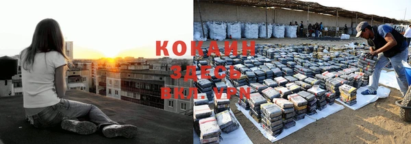 МДПВ Каменногорск