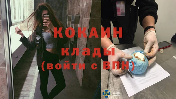МДПВ Каменногорск