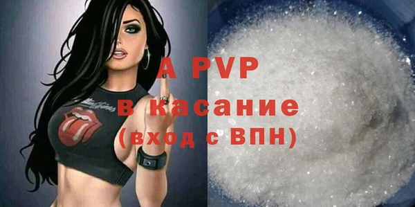 стафф Каменск-Шахтинский