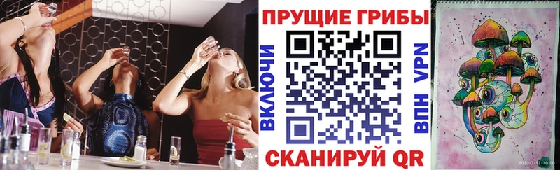 Купить закладки  Менделеевск  Галлюциногенные грибы прущие грибы 