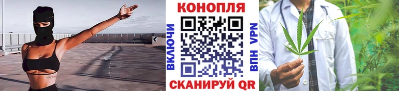 Купить где  Менделеевск  Марихуана план 